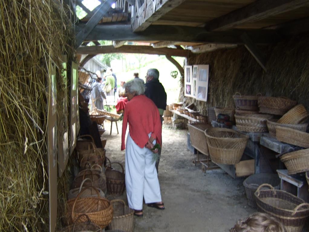 Bela 2010